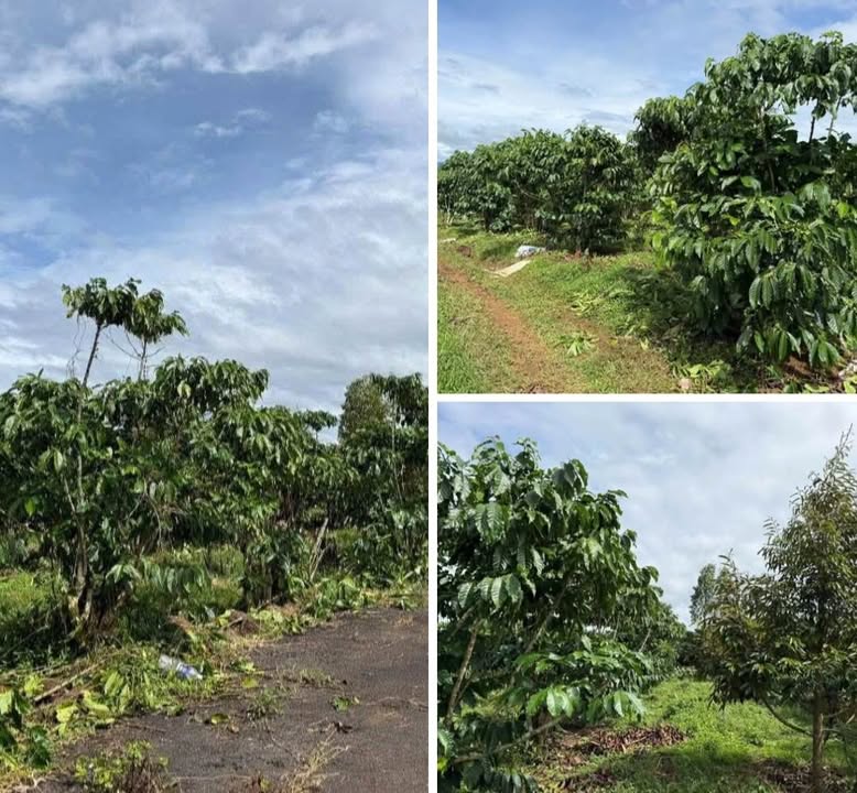 Đất nền Lộc Ngãi Bảo Lâm 9500m² giá chỉ 4.132 tỷ - Sổ hồng trao tay!