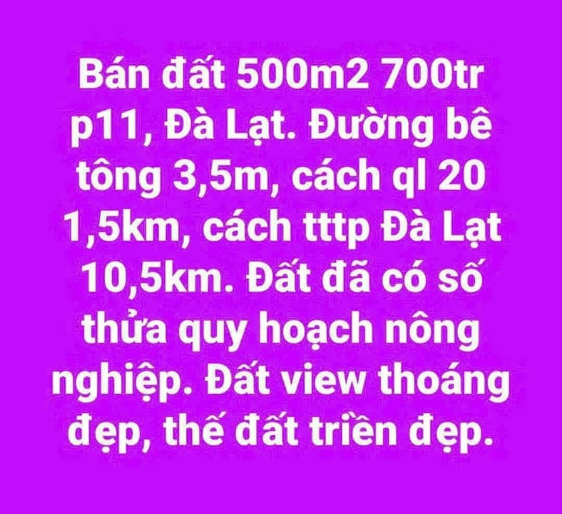Đất nền 500m² tại Phường 11, Đà Lạt giá 700 triệu - View đẹp, đường bê tông 3,5m!