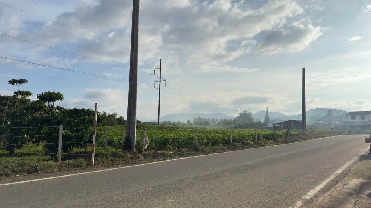 Nhà mặt tiền Đinh Công Tráng, Lộc Châu 1096m² giá 5.2 tỷ - Kinh doanh thuận lợi!