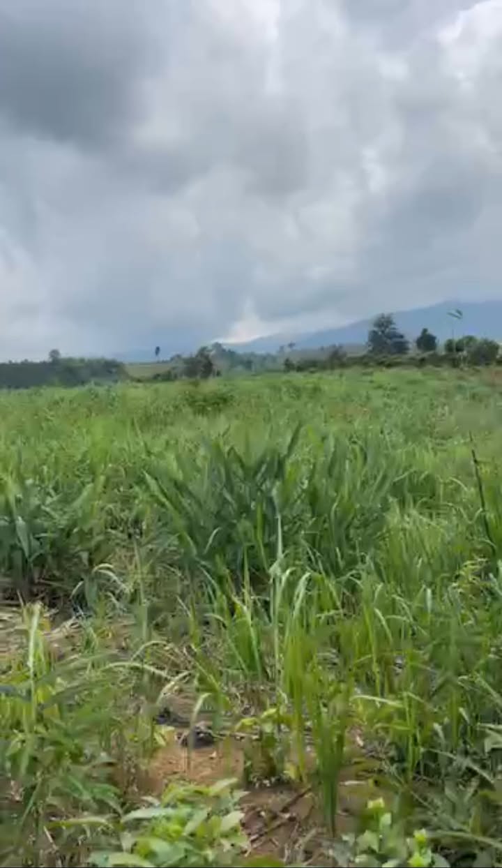 Đất nền Đam Rông 2, Lâm Đồng 40.000m² chỉ 1.7 tỷ - Giá tốt không thể bỏ lỡ!