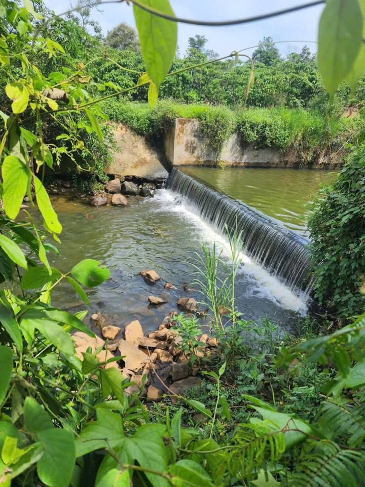 Đất nền 5000m² đường Hoài Thanh, B'lao Bảo Lộc giá 27.5 tỷ - Thương lượng ngay!