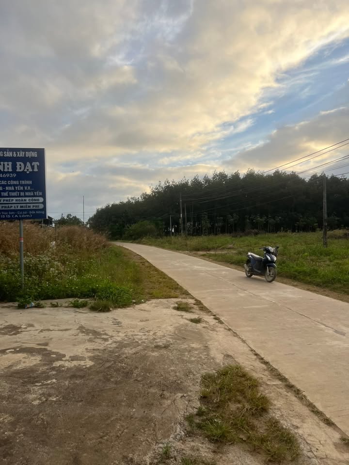 Đất thổ cư 5100m² tại thôn 5, xã Đắk Wil, Cư Jút - Giá chỉ 2.4 tỷ, thương lượng!