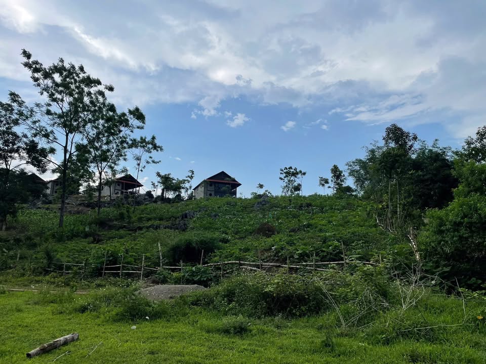 Đất Farm Hiền Lương Đà Bắc 1450m² giá 1 tỷ - Không gian yên tĩnh, trong lành!