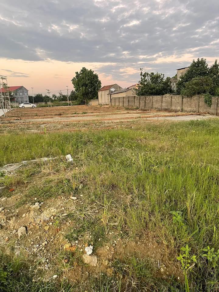 Đất nền Bắc Lý Hiệp Hòa 100m² giá từ 600 triệu - Cơ hội đầu tư hấp dẫn!