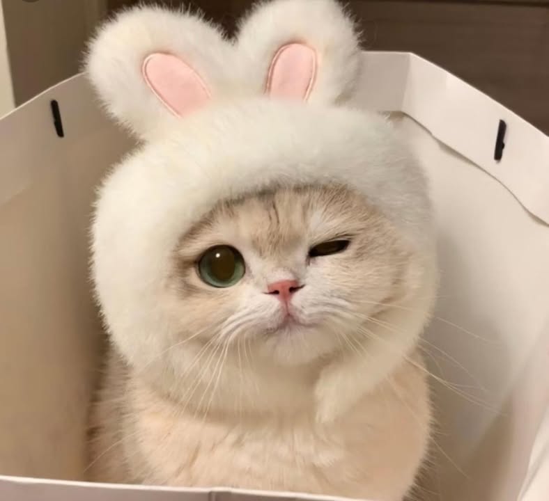 Đất nền Xuân Giang, Nghi Xuân 117m² giá 400 triệu - Cơ hội đầu tư tuyệt vời!