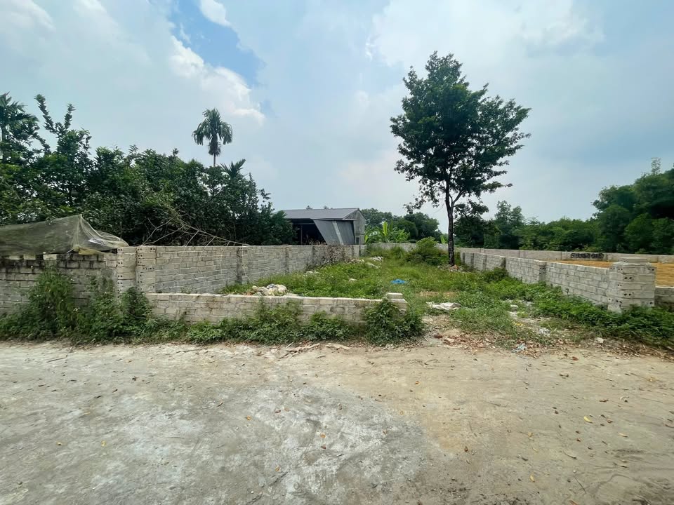 Đất nền 206m² tại phường Tùng Thiện, Sơn Tây - Tiềm năng đầu tư vượt trội!