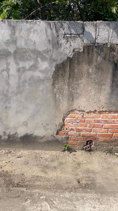 Đất nền Sầm Sơn 550m² giá thỏa thuận - Cơ hội đầu tư hấp dẫn!