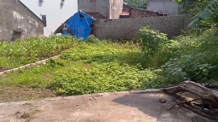 Đất nền Hợp Tiến, Mỹ Đức 82m² giá 1.1 tỷ - Gần chợ, trường học!