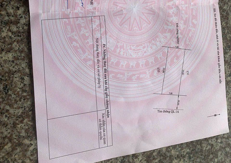 Đất nền xã Xuân Lam, Nghi Xuân 175m² - Đầu tư sinh lời ngay!