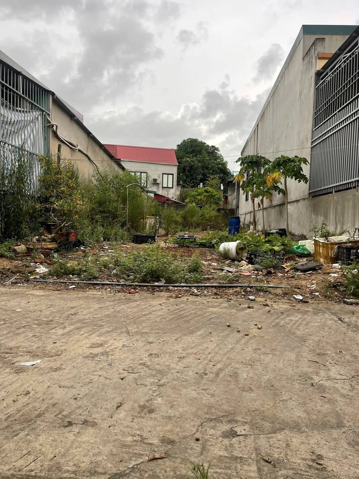 Đất nền Tôn Đức Thắng 132m² giá 1.4 tỷ - Cơ hội đầu tư tuyệt vời!