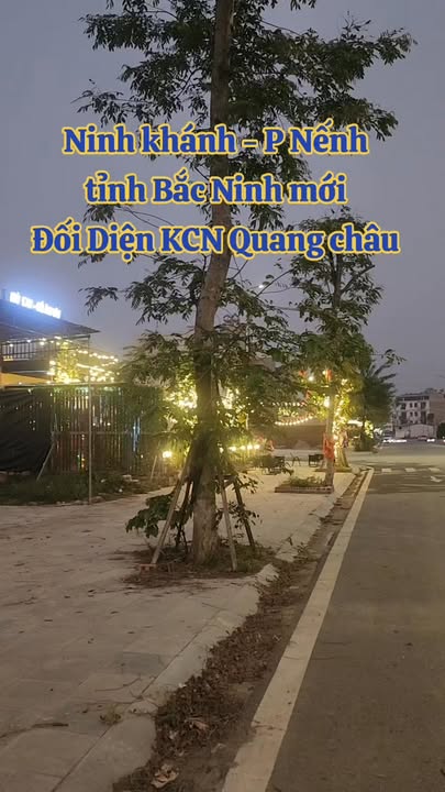 Lô đất 80m² Khu đô thị Tây Bắc Ninh Khánh - Giá tốt, nhanh tay sở hữu!