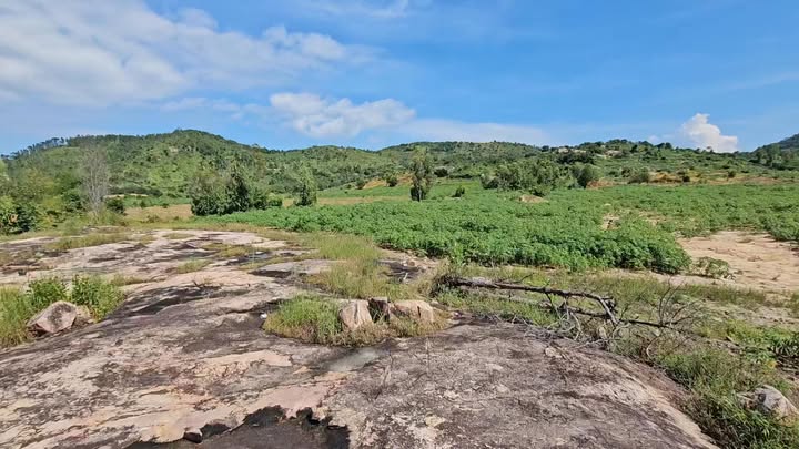 Bán đất farm 4,7 hecta Thôn 3, Tân Phúc, Hàm Tân giá 47 tỷ - Sổ hồng chính chủ, vị trí đẹp!