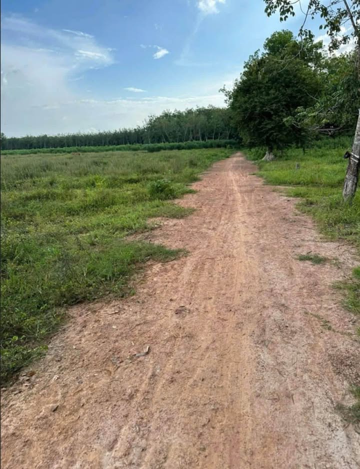 Đất nền 10000m² tại Tân Biên, Tây Ninh - Giá chỉ 28 triệu/m², cơ hội đầu tư tuyệt vời!