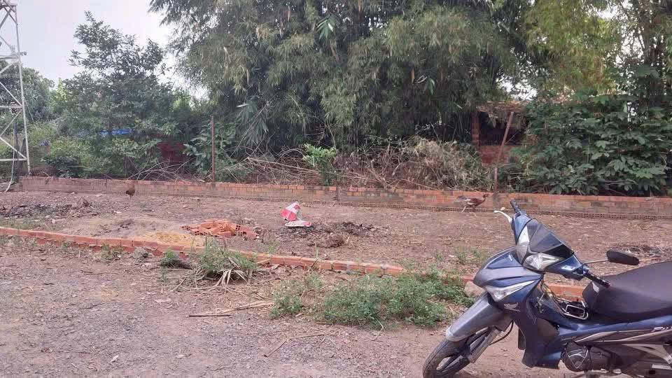 Đất nền Tân Khánh 92.5m² giá 1.8 tỷ - Cơ hội đầu tư tuyệt vời!