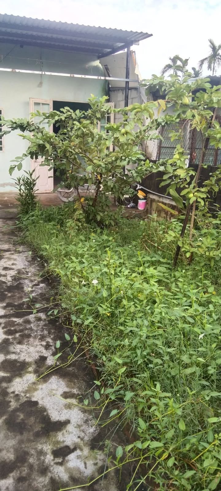 Nhà liền kề kiệt Hoàng Văn Thái Đà Nẵng 170m² giá 1.5 tỷ - Đầu tư sinh lời ngay!