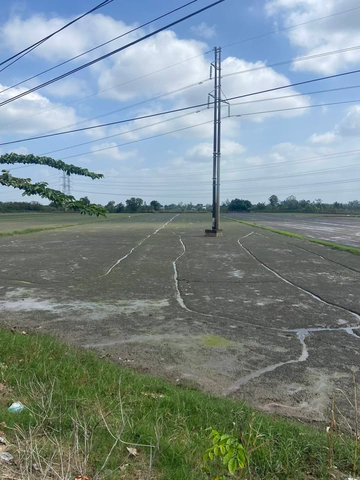 Đất nền 10.000m² Tỉnh lộ 853, Tân Phú Trung, Châu Thành - Giá chỉ 700 triệu!