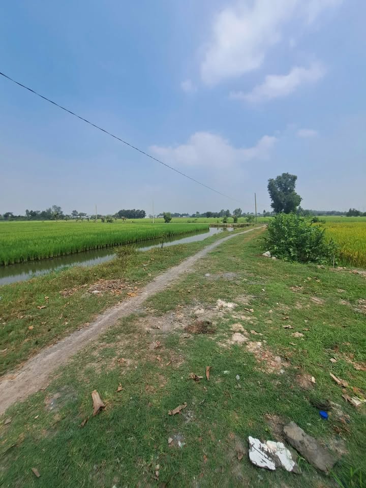 Đất thổ cư Hòa Khánh Đông, Đức Hòa 399m² giá thương lượng - Tiềm năng phát triển cao!