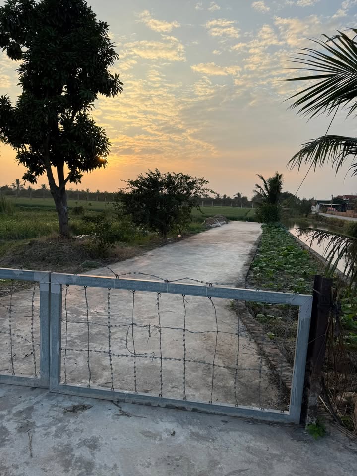 Đất nền chuyển đổi Thái Tân 10.000m² giá 1.7 tỷ - Đầu tư sinh lời ngay!