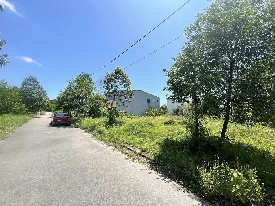 Đất nền 200m² mặt tiền đường Nguyễn Viết Phong, TP Huế - Giá chỉ 2 tỷ!