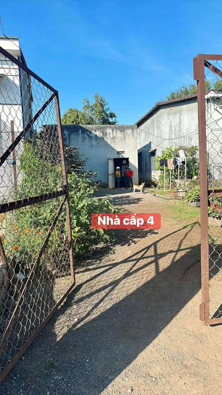 Nhà cấp 4 Hòa Phú Buôn Ma Thuột 320m² giá 780 triệu - Bán gấp do cần tiền!