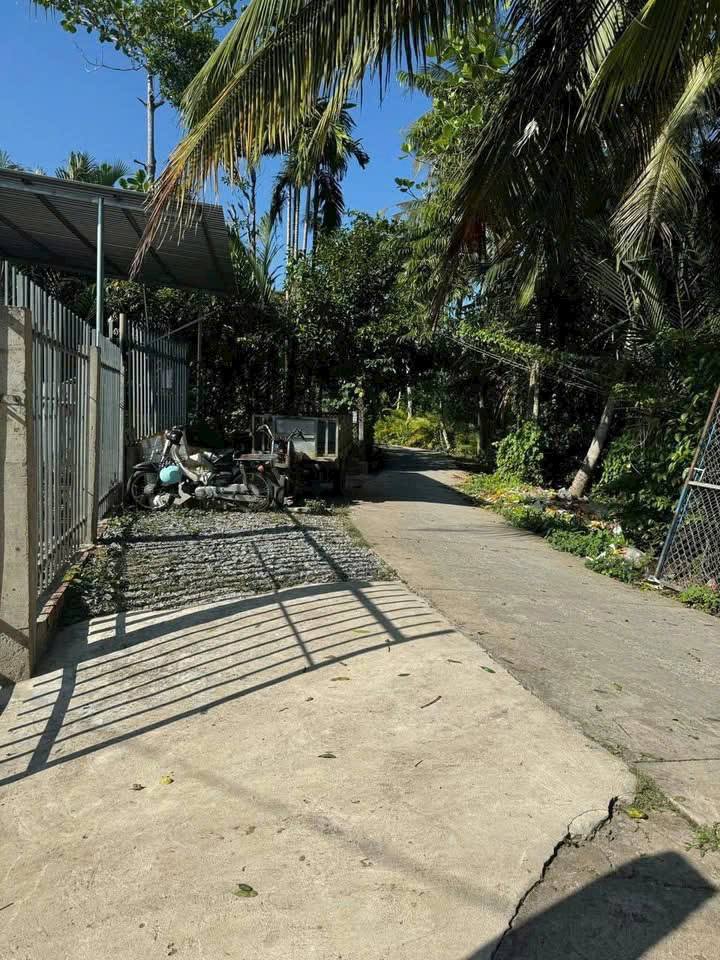 Nhà đất Vĩnh Hòa Chợ Lách 230m² giá 530 triệu - Cơ hội vàng cho nhà đầu tư!