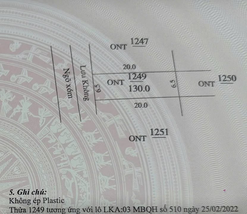 Lô đất liền kề Đông Văn, Đông Sơn 130m² giá 1.3 tỷ - Đầu tư sinh lời ngay!