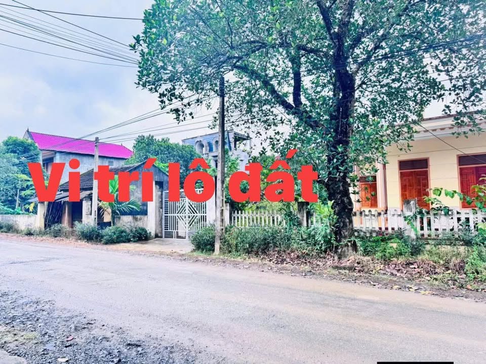 Đất nền Cẩm Quý, Cẩm Thủy 168m² giá chỉ 5xx triệu - Đầu tư sinh lời ngay!