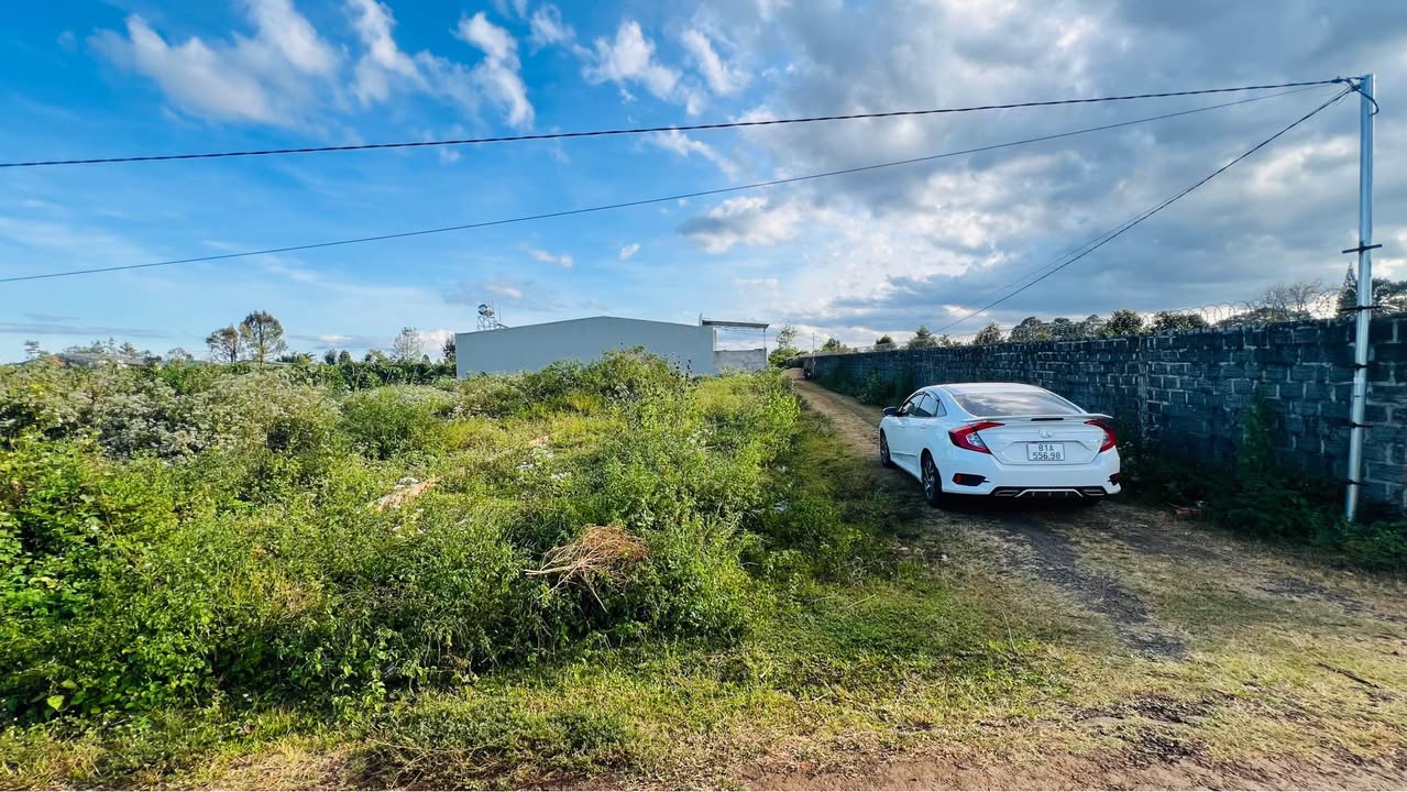 Đất nền Hẻm 100 Nguyễn Kiệm, Pleiku 162m² - Lô góc hai mặt tiền giá tốt!