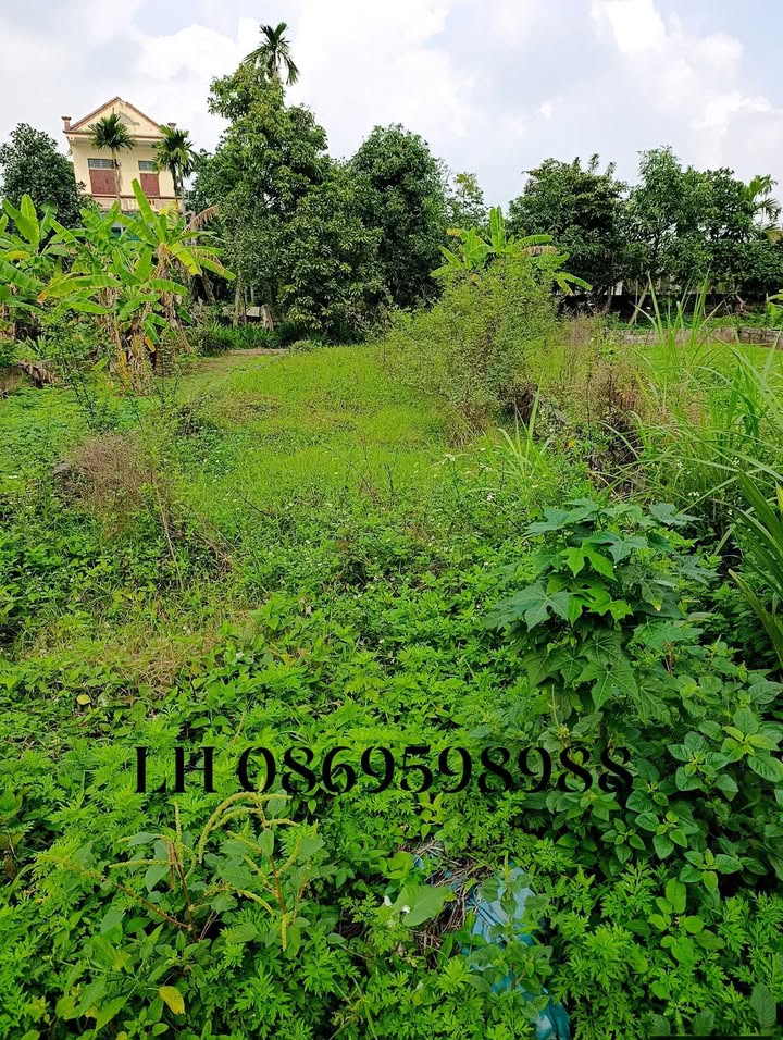 Đất nền Phù Vân, Phủ Lý 98m² giá 2 tỷ - Cơ hội đầu tư đắc địa!