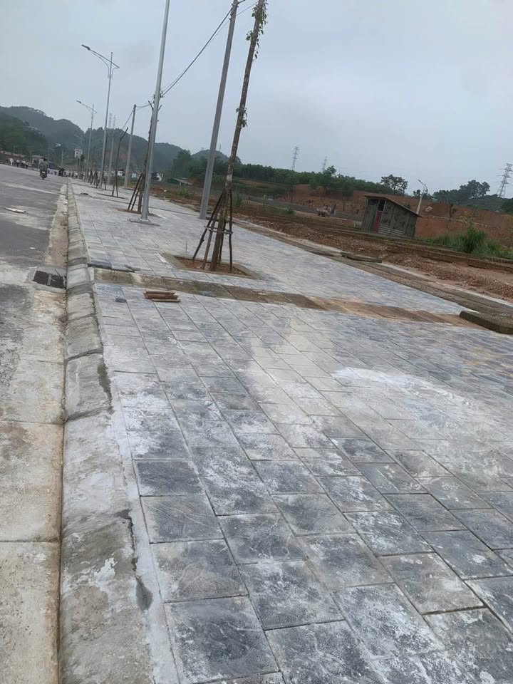 Bán đất Tân Thịnh Yên Bái 20m² giá 3 tỷ - Đầu tư sinh lời hấp dẫn!