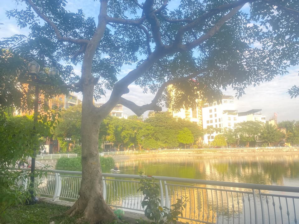 Nhà 6 tầng Trần Cung 38m² giá 12.1 tỷ - Chính chủ bán gấp!