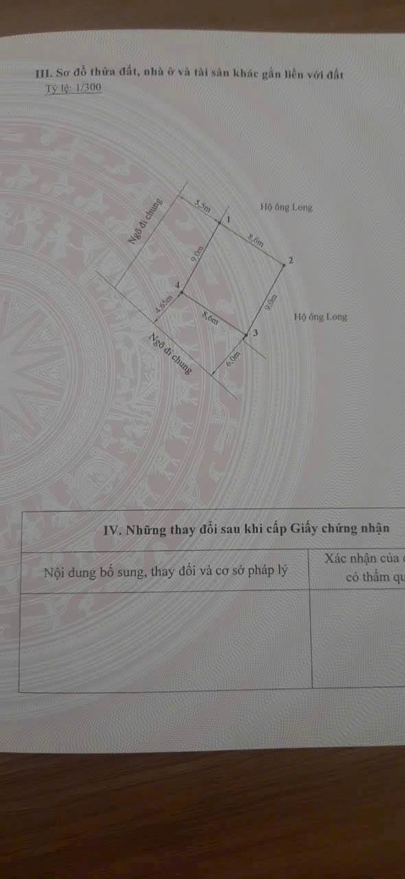 Đất nền Lương Quán, Nam Sơn, Hải Phòng 76m² giá 2.2 tỷ - Sổ đỏ chính chủ, ô tô đỗ tận cửa!