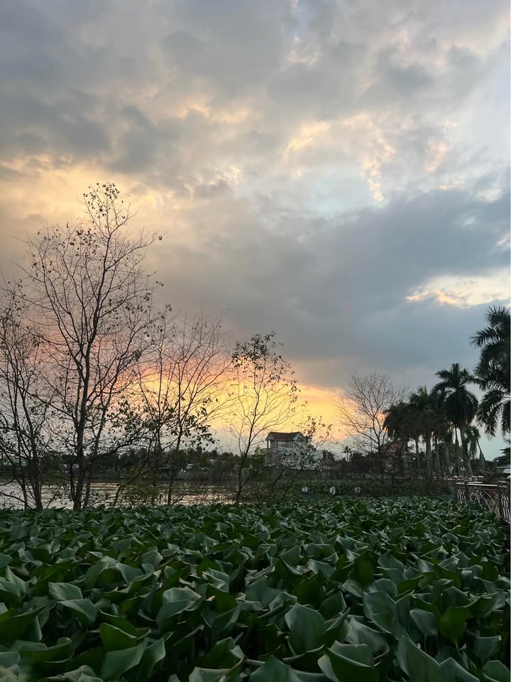 Đất thổ cư 81,6m² tại Đô Thị Cồn Chim, Vĩnh Long - Giá chỉ 816 triệu!