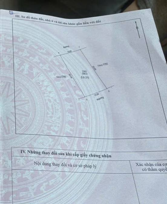 Đất đấu giá Nghi Trường, Nghi Lộc 195m² giá chỉ 2.2 tỷ - Cơ hội đầu tư sinh lợi!