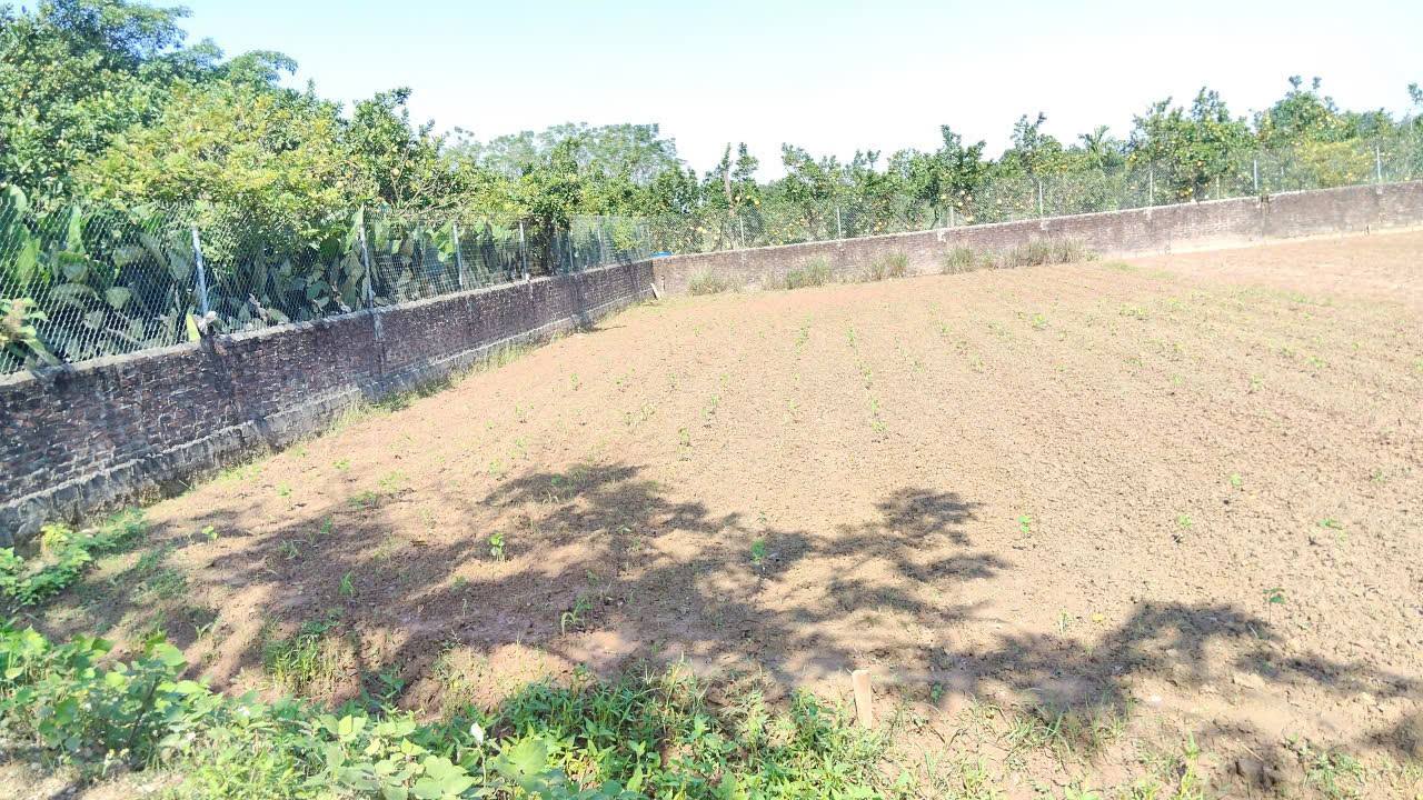 Đất nền Sài Sơn Quốc Oai 250m² giá chỉ 750 triệu - Đầu tư sinh lời ngay!