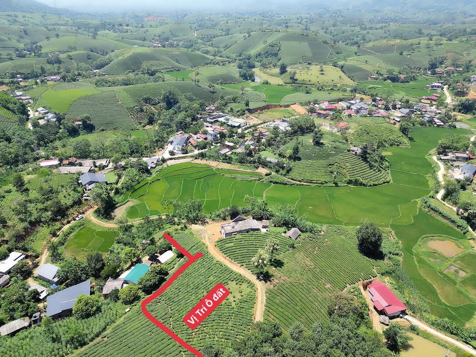 Farmstay tại Minh Đài, Tân Sơn, Phú Thọ 1.200m² giá chỉ 200 triệu - Cơ hội đầu tư tuyệt vời!