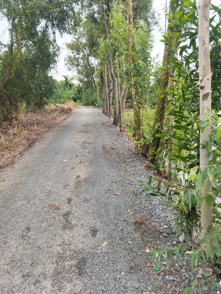 Đất nền 36000m² mặt tiền đường nhựa 4m tại Mỹ Phú, Thủ Thừa - Giá tốt thương lượng!