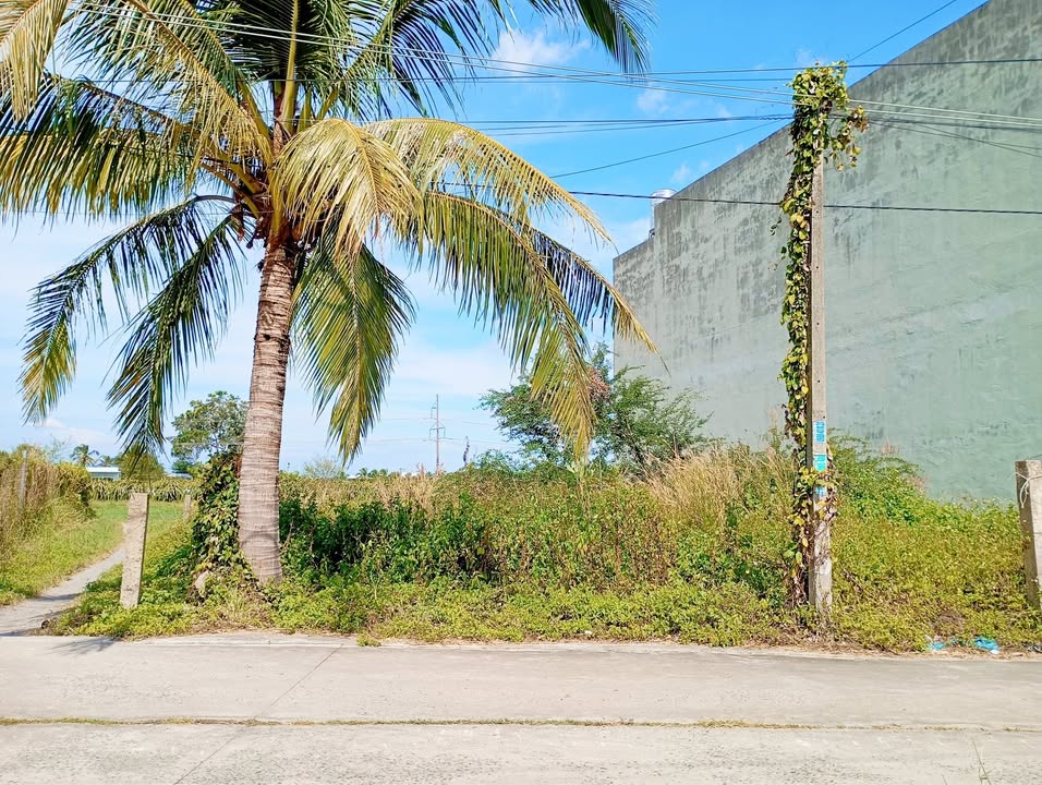 Đất nền khu HQDC xã Tiến Lợi, Phan Thiết 133m² giá 1.35 tỷ - Sổ hồng chính chủ!