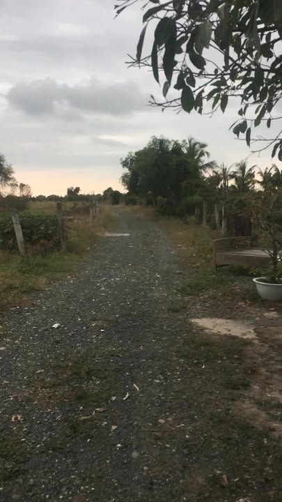 Nhà bán gấp tại Liên Hương, Tuy Phong 168m² chỉ 350 triệu - Đường ô tô vào tận nơi!