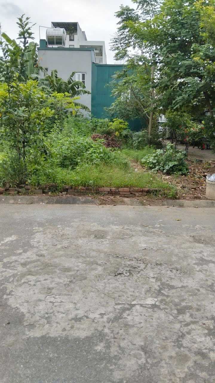 Đất Trâu Quỳ, Gia Lâm 72m² giá 7.3 tỷ - Sổ đỏ chính chủ, ô tô vào tận nhà!