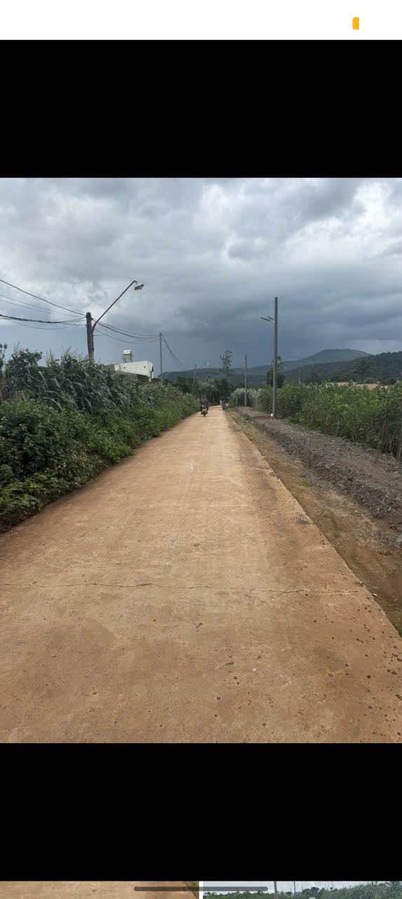 Đất nền Tân Hội, Đức Trọng 150m² giá 750 triệu - Đầu tư tiềm năng ngay gần trung tâm!