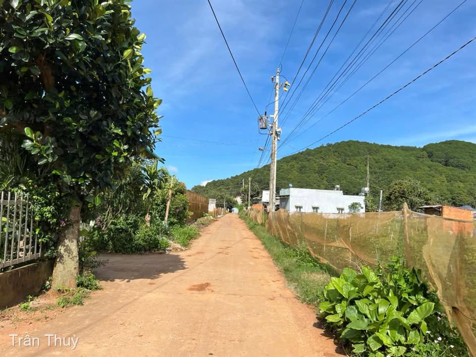 Đất nền Đơn Dương 138m² chỉ 699 triệu - Cơ hội đầu tư tuyệt vời!