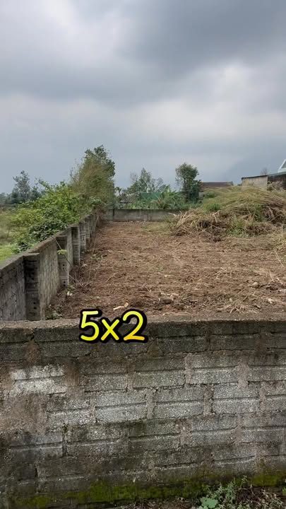 Đất thổ cư 125m² khu phố Liên Phú - Giá chỉ 15 triệu/m², đầu tư sinh lời!