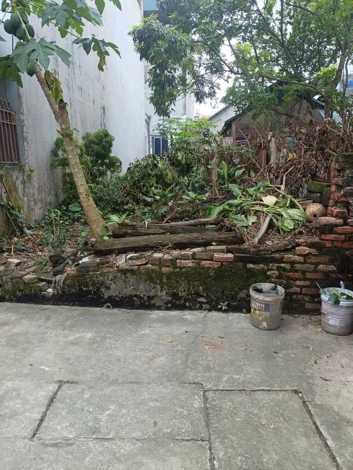 Đất nền Xuân Lâm, Thuận Thành 51m² giá 1.4 tỷ - Cơ hội đầu tư hấp dẫn!