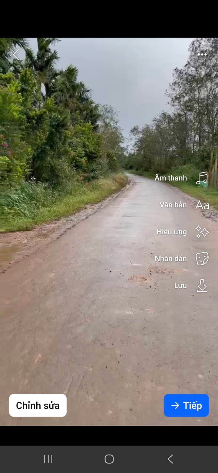 Farm 1,6ha Cư Klông, Krông Năng, Đắk Lắk - Tiềm năng sinh lời cao!