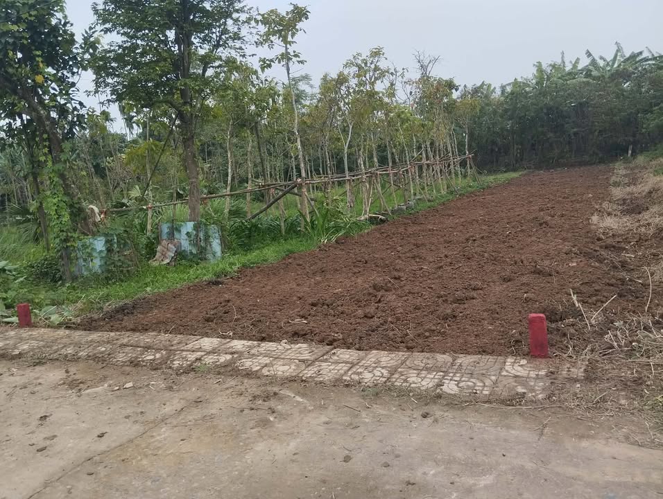 Đất nền Điện Hồng, Điện Bàn 180m² giá 700 triệu - Cơ hội đầu tư hấp dẫn!