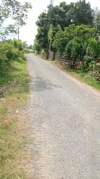 Đất ruộng mặt tiền đường nhựa Trà Cú 6000m² giá 1.26 tỷ - Đầu tư sinh lời tiềm năng!