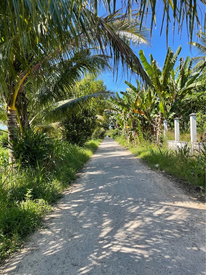 Đất mặt tiền Mậu Thân, Lương Hoà A 1640m² giá 1.845 tỷ - Cơ hội đầu tư lý tưởng!