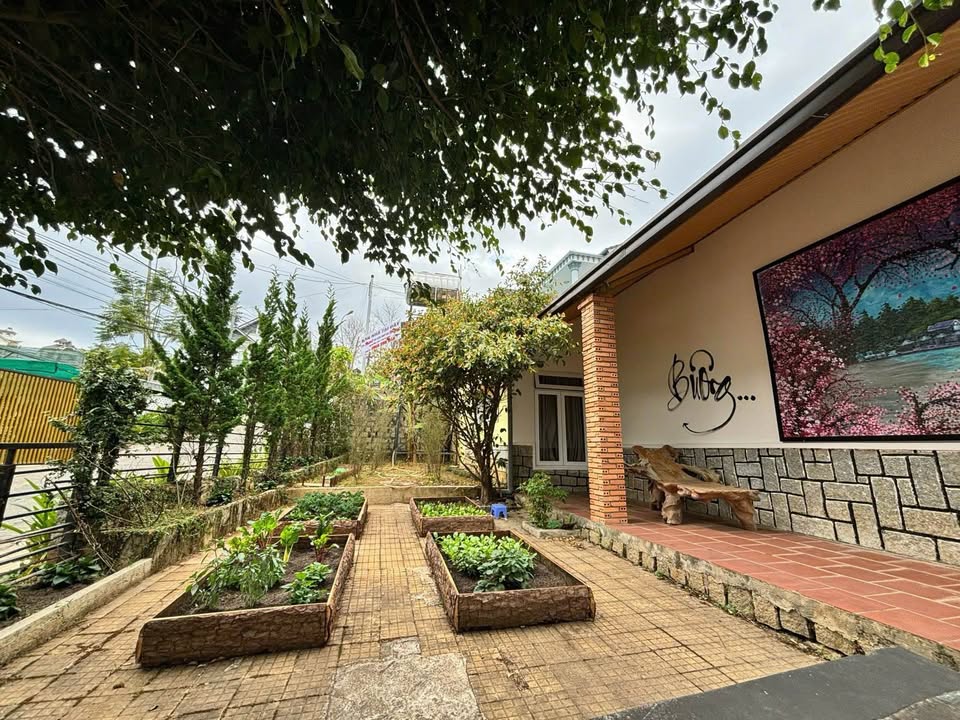 Villa mini sân vườn Đà Lạt 260m² giá 16 tỷ - Không thể bỏ lỡ!