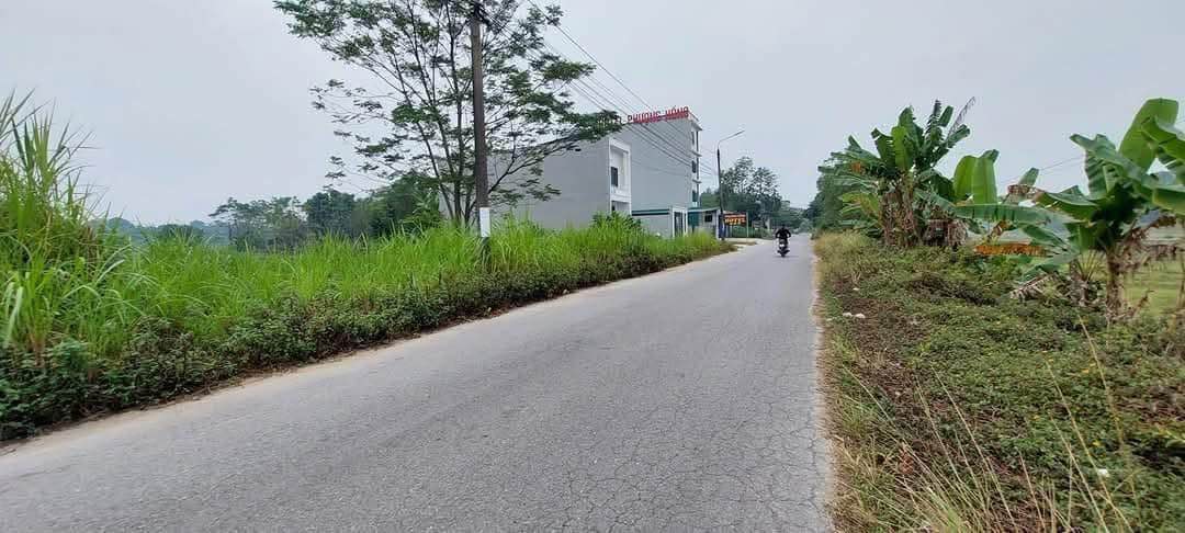 Đất thổ cư 125m² mặt đường Phú Liêm - Vị trí kinh doanh thuận lợi!